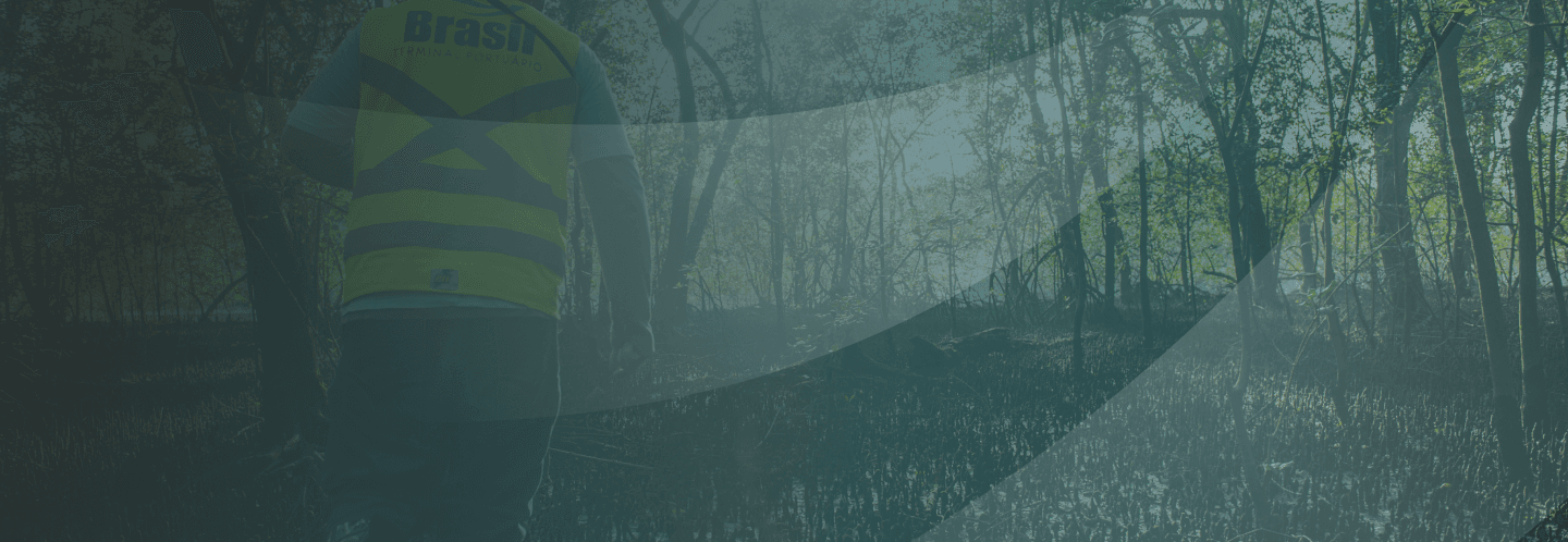 Banner da página Biblioteca