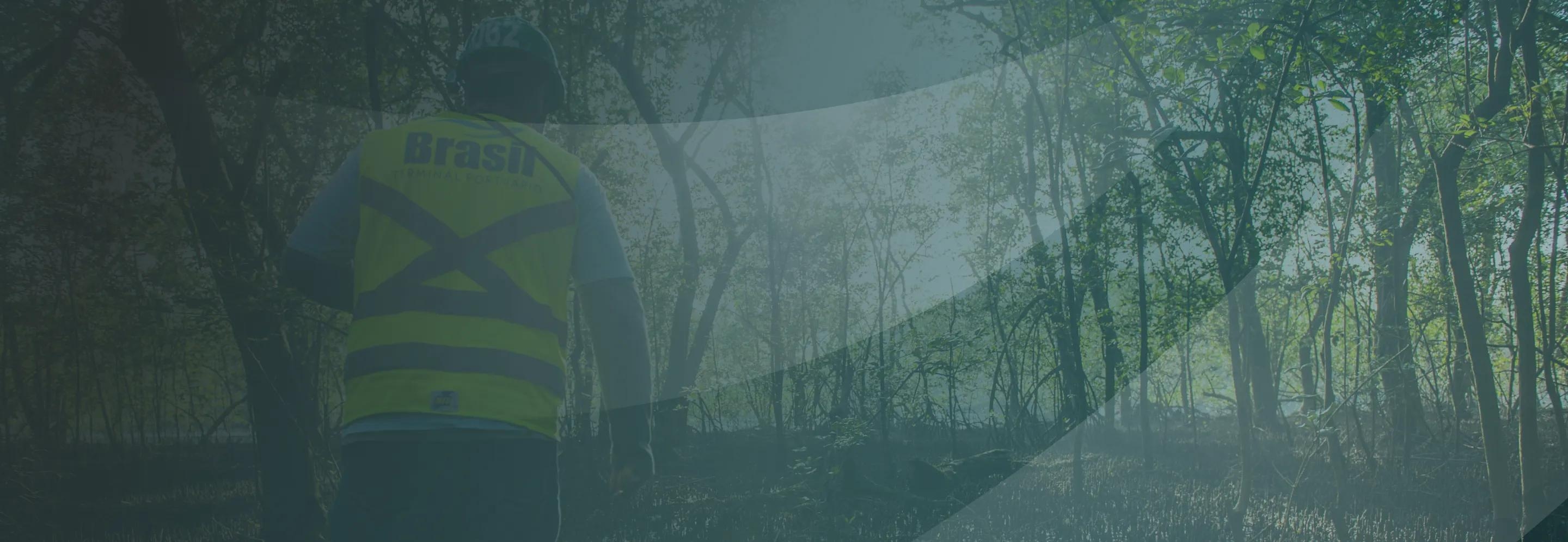 Banner da página Nossa Missão, Visão e Valores