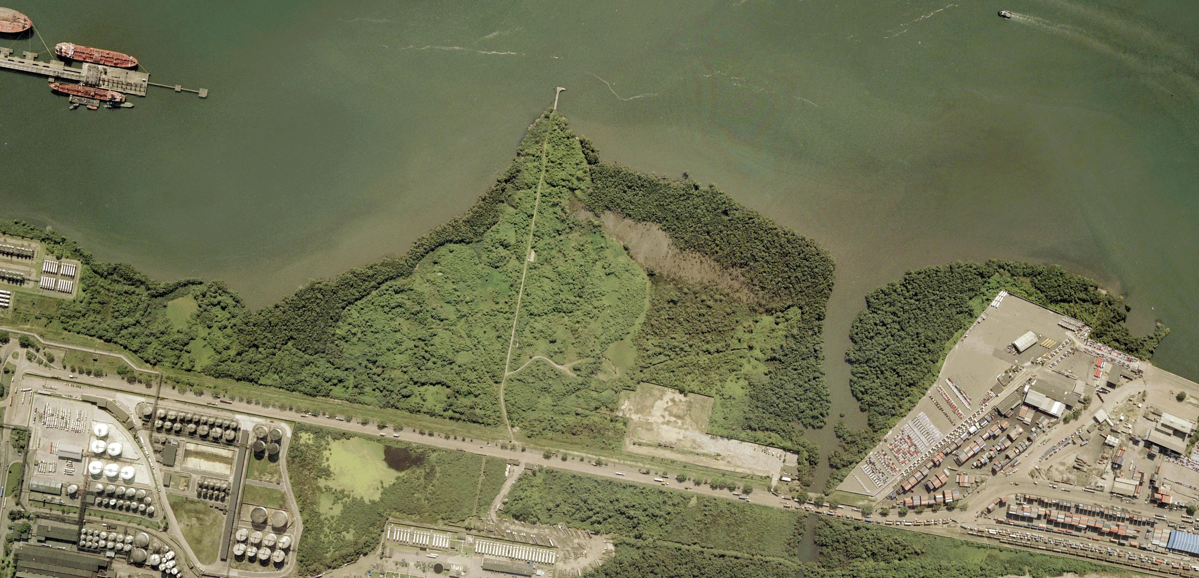 2009