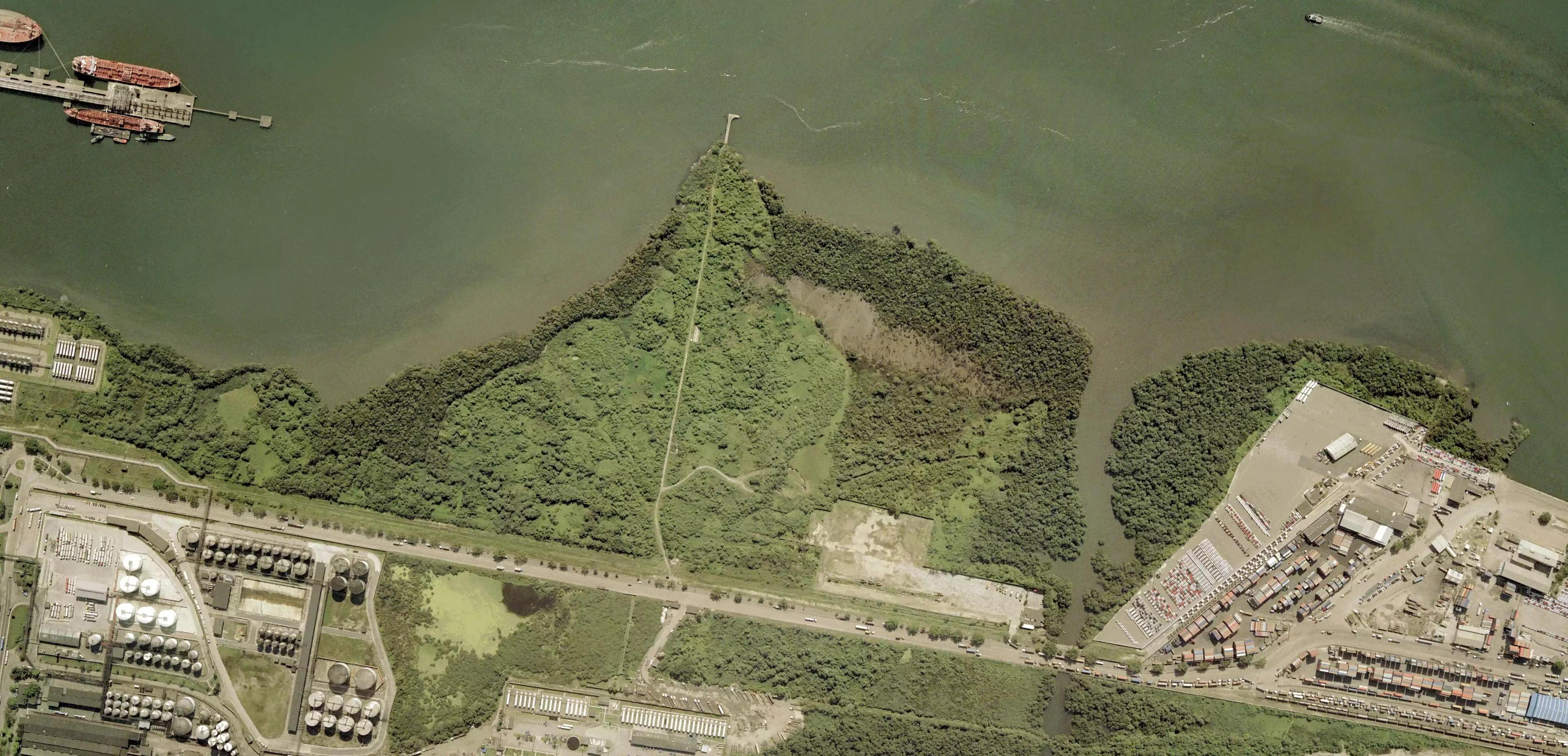 2009